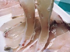 脆皖鱼排-中山脆肉鲩(新圳东路店)