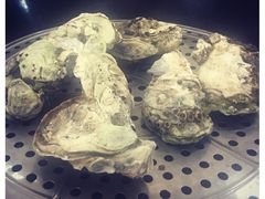 -蚝专家(北滘店)