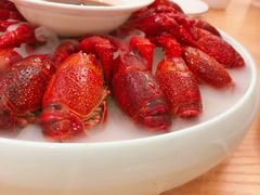 冰镇龙虾-马头巷·食景园(苏州总店)