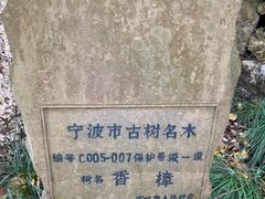 -宁波市保国寺古建筑博物馆