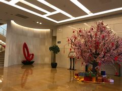 -国家会议中心大酒店