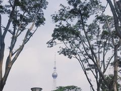 -文华公园(禅城区)