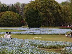 -上海滨江森林公园