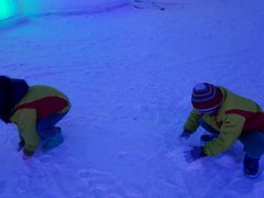 -世界之窗阿尔卑斯冰雪世界