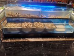 水产区-苏格里岛自助海鲜烤肉火锅(集美万达店)