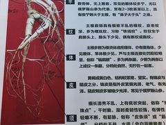-广东中医药博物馆
