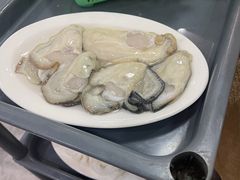 -濠轩阁特色生蚝火锅(水湾路店)