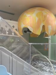 -奈尔宝·儿童乐园·亲子餐厅(华采天地店)