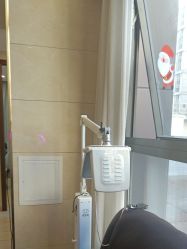 -碧莲盛·不剃发植发