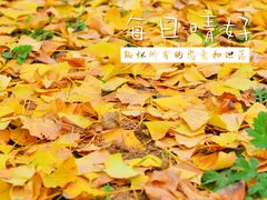 -汉景帝阳陵博物院