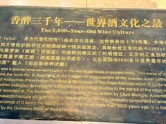 -信阳博物馆
