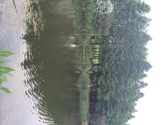 江湾湿地公园-新江湾城公园