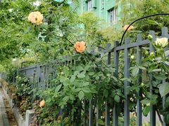 -杭州观成实验学校