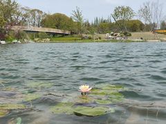 -上海植物园-4号门售票处