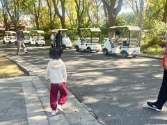 -昆山城市生态森林公园