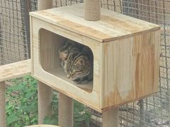 -青藏高原野生动物园