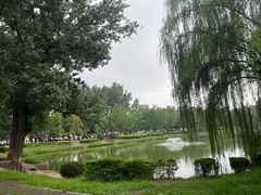 -中卫御苑福膳·养生局(圆明园店)