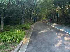 -上海吴淞炮台湾国家湿地公园