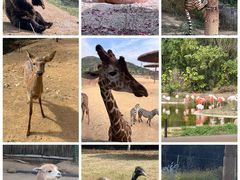 -杭州野生动物世界