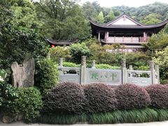 -十八棵（老龙井）御茶园(老龙井店)