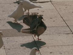 -王府井奥莱棋盘山小镇