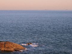 -小麦岛公园