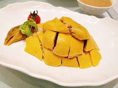 -高老庄新家宴(北斗星广场店)