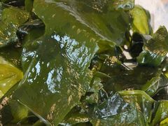 -阳光码头海鲜火锅(世纪大道店)