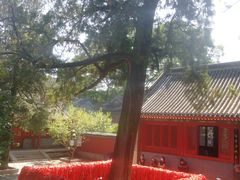 -红螺寺