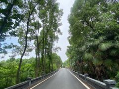 -青龙山国家森林公园