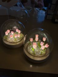 -大美母婴月子中心(希尔顿店)