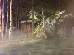 -汉拿山温泉度假酒店
