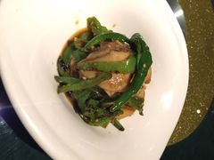 西郊5号-西郊5号·Maggie 5