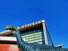-河南自然博物馆