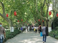 -杭州黄龙洞