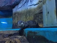 -多彩贵州城极地海洋世界