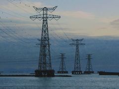 -宝安西湾红树林湿地公园