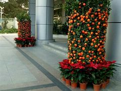 -北海市人民医院(总院)