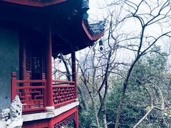 -汇龙潭