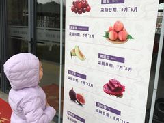 -菊园百果园
