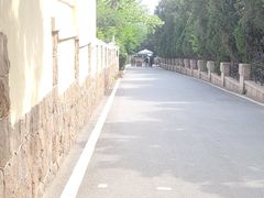 -八大关景区