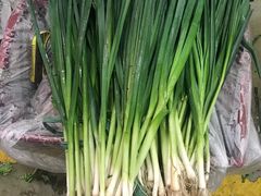 -西郊国际农产品交易中心