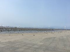 -东港音乐喷泉广场