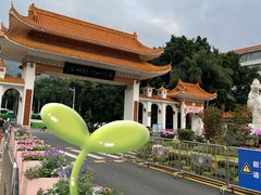 -深圳仙湖植物园