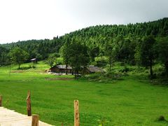 -武陵山森林公园