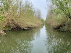 -溱湖国家湿地公园