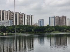 -南宁南湖公园