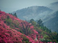 -木兰云雾山
