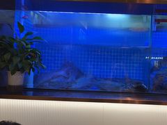 -老板恋上鱼(印象城店)