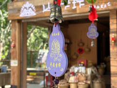 -西双版纳原始森林公园
